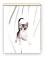 Preview: Rollo Loki vertic Katzenbaby, Rollo, Motivrollo, Rollo mit Druck, Fotorollo, bedrucktes Rollo, Fensterrollo,verdunkelndes Rollo, Sonnenschutz Rollo